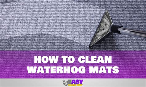 cleaning pet urine from waterhog mat